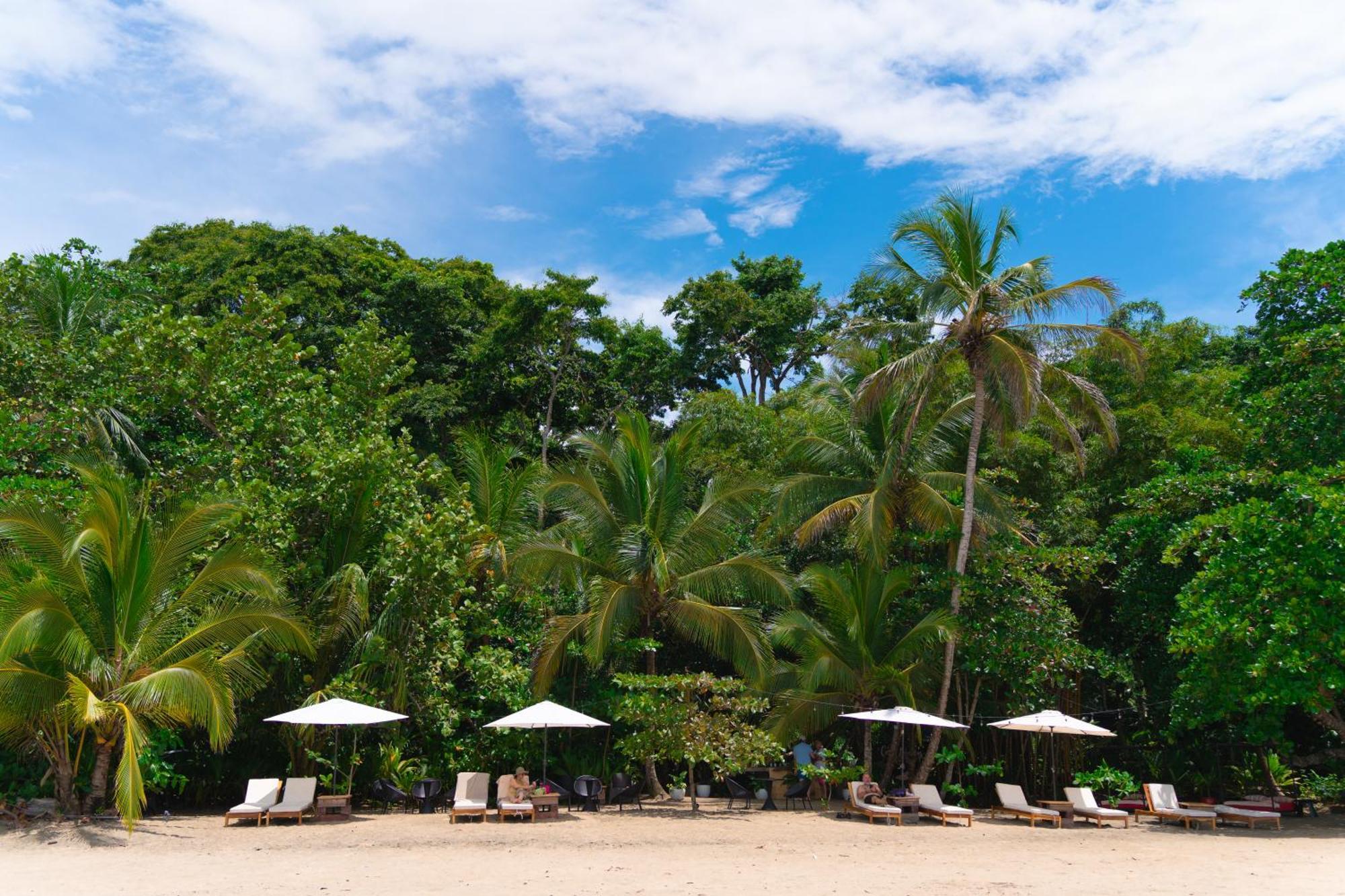 aWà Beach Hotel Puerto Viejo de Talamanca Exterior foto