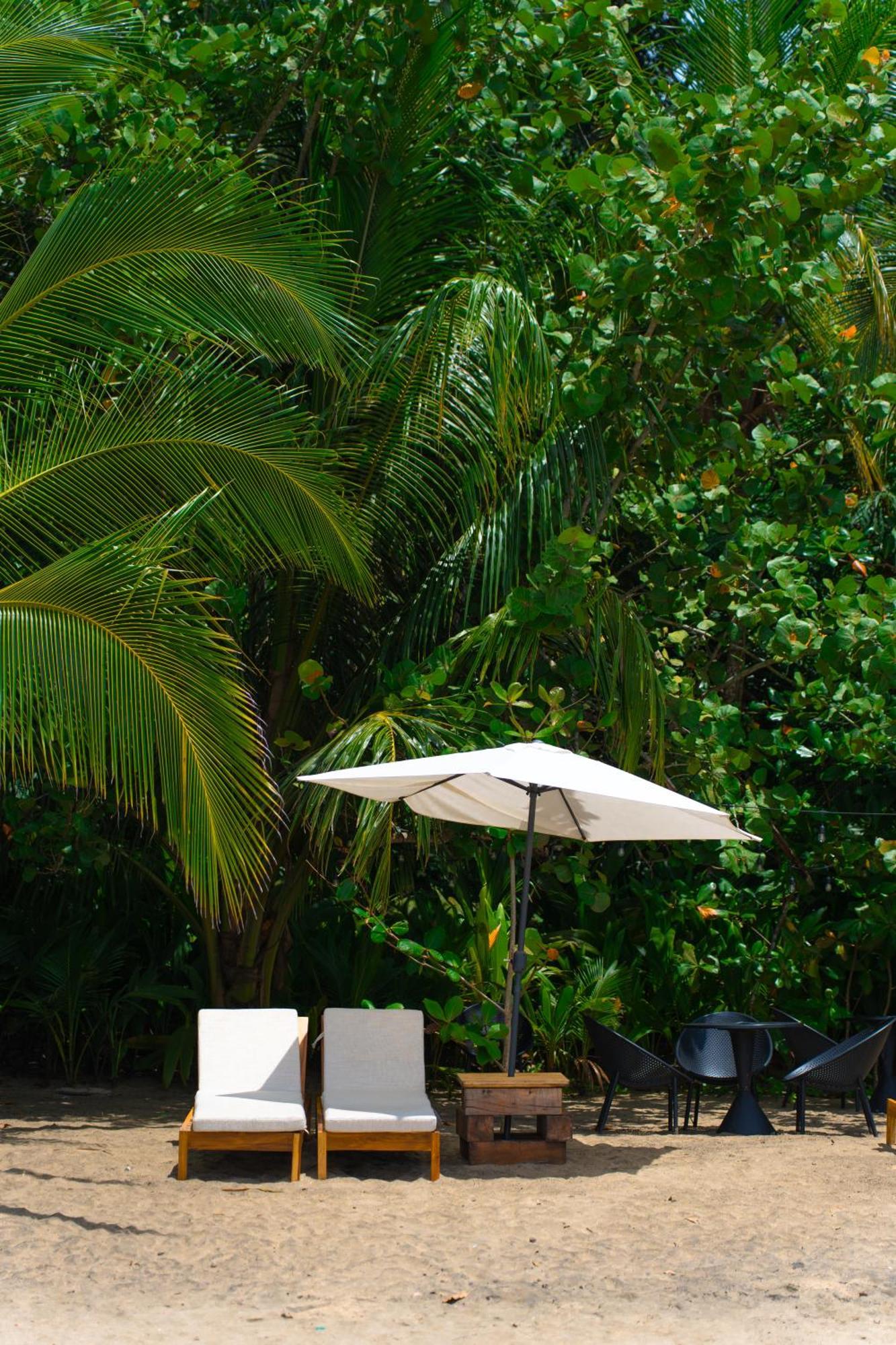 aWà Beach Hotel Puerto Viejo de Talamanca Exterior foto